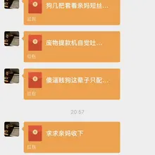 放弃挣扎吧贱狗 女神只需要抬一下脚你的狗脑就瞬间发情丧志
