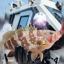 여수여행의 마무리~😍2박3일일정 잘쉬고~잘놀고~잘먹다 이젠 집으로 출발해요^^기상악화로 조기입항은 하였으나 타고싶던 배도타보고 붉바리도 잡고~…