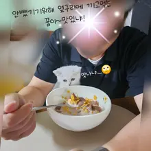꿈이의 일기 간식을 사발로 드시는 꿈이..😱 아빠가 모하는지 궁금한 막둥이~🤗 간식을 지키기 위한 사투를 벌이지만 결국 한그릇에 코박고 같이…