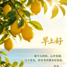 早安！Good morning！