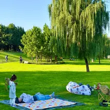 南京・江心洲でキャンプ。 芝生でのんびり、川風も心地いい。 緑に囲まれて、癒やされる〜。