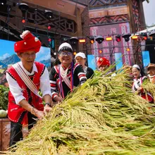 【旅ログ】雲南・普洱の西盟ワ族自治県で、新米祭り。 昔ながらの方式で豊作を祝い、観光客と喜びを分かち合う。