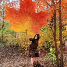 吉林省・長春の南湖公園が秋の見頃を迎えた！ 緑や赤、黄色に色づいたモミジが、まるで絵のよう。 秋ならではの景色に癒やされる〜