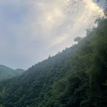 山间小溪清澈 周围绿树成荫