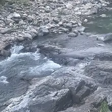 山间小溪清澈 周围绿树成荫