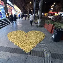 体验成都慢生活