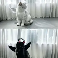 双子星