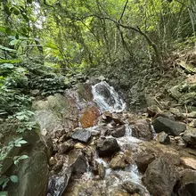 梧桐山