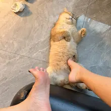 爽晕了是不是
