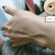 可愛的字 可愛的貓貓 可怕的手... #手控