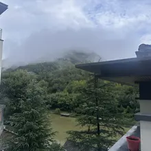打个卡