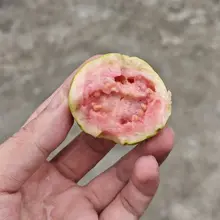 这个方言 你们叫啥？