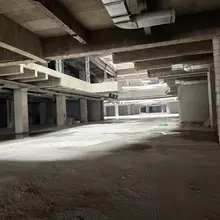野战的好地方