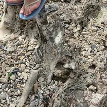 点击观看更多美脚