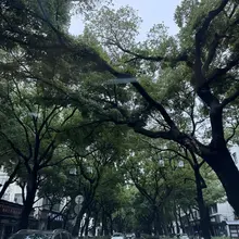姑苏雨后，等待天晴