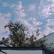 像夏天一样的秋
