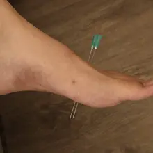 把小狗的脚扎对穿😈