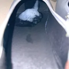 继续凿，香香的那就添点腥腥的