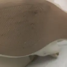 你猜中间发生了什么？😜#反差 #射屏 #出卖 #原味 #打胶 #投稿