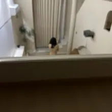 苏锡常d