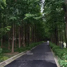 老婆嫌我乱玩，觉得要为人父母要做楷模家长，不再接受我有外部的自由关系。且目前还在因为我没有边界而生气，已经气到联系我妈把给她定的月嫂给退掉了。 已答应今后回归…