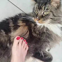 点击观看更多美脚