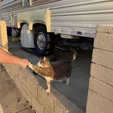 👋
