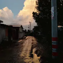 孤独并非自愿，而是因为周围找不到同类