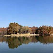 我不希望你把我看做一个肤浅的人。 我更希望你能看到一个能和你一起交流分享的朋友。 我们享受欲望带来的快感，快感之下会有迷茫。 这时需要情感或共鸣带来的安全感是…