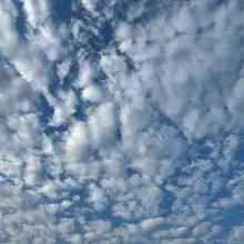 欲望是不会消散的，只是发生了转移。 要么折腾自己，要么折磨他人。 好的伴侣，需要互相沟通，相互磨合而来。有些性癖，哪怕需要外部支援，也要互相沟通。 大部分都是…