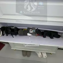 我去了这么多骚高跟 #扫楼