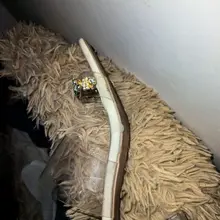 原创打胶跟踪视频 群内完整版12分钟已更新 进群有门槛🚪 进群后免费套路鞋袜 套路女神原味袜子 进群联系qq：2766776378 #扫楼 #打胶 #扫楼打胶…