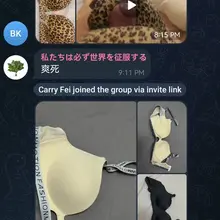 喜欢分享自己亲戚朋友的奶罩内裤的同好可以扫码加我验证入群了，每天都有很多同好分享自己玩的👍