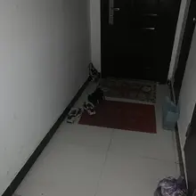 #射鞋 #玩鞋 #扫楼 #打胶 也不知道为啥，妹子家门口的鞋架竟然收回家了！是因为我一个多月没给鞋子保养生气了惩罚我吗？！oh no～听着妹子家门内的欢声笑语…