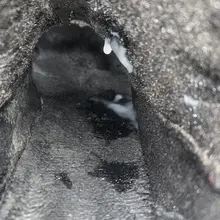 #射鞋 #玩鞋 #扫楼 #打胶 把少妇姐姐的鞋翻开的时候仿佛有一种把姐姐b翻开的错觉...这种感觉实在是太爽了！