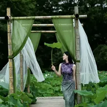 “荷风十里入严田，一轨清欢赴夏时” 夏日的婺源 把最温柔的那句诗 悄悄藏在了严田的百亩荷塘里