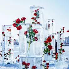 长春冰里开红玫，雪天也有艳芳菲。 不用春风来相唤，一朵娇妍醉游人。 The Roses Frozen in Ice in Changchun.