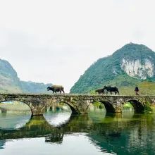🇨🇳广西靖西｜夕阳、孔桥、老农、水牛，在山水映照下，平淡安静。对生活在喧嚣浮躁的都市人来说，俨然是一个世外桃源。 #大美中国