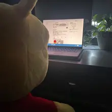 老大哥在看着我😨