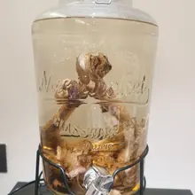 这次来把老哥以前泡的喝的差不多了 老哥特又去搞了新鲜的，说药材没到，先用金门高粱酒泡上药到了再加， 这玩意泡酒界天花板了吧， 国内想都不用想啊