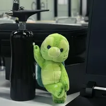 主人买的陪读王八🐢 （不是王八哦是可爱的olu宝宝🥰）
