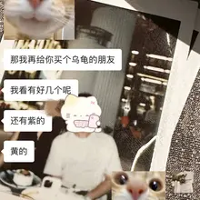 主人买的陪读王八🐢 （不是王八哦是可爱的olu宝宝🥰）