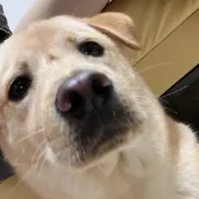 有事吗