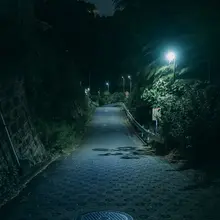NIGHT WALK IN JAPAN