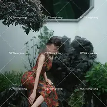 一枝红杏出墙来