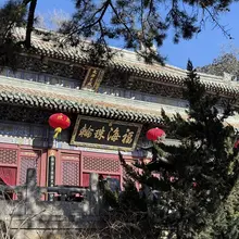 龙年最后一练加龙年最后一拜，愿你们蛇年都很哇塞！