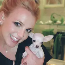 Really cool fans sent this to me,,, pretty interesting!