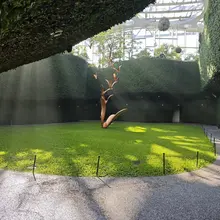 今天一回想我和我老婆已经在一起十年多了，从一开始对性的懵懂，再到渴望，再到花样，再到平淡，再到寻求刺激，再到佛系的淡然。