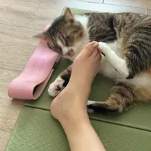 不太行