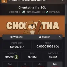 WILL LOADING MORE HERE $Chonketha CHONK IS THE NEW BONK !!!! HcfnJxLov6tY8i1dq9…